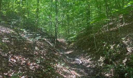 Photo #18 of Jones Overlook, Howardsville, VA 8.2 acres