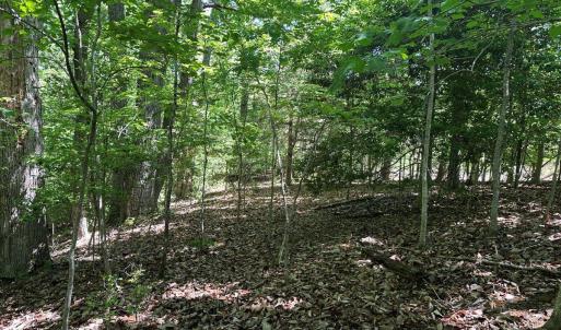 Photo #22 of Jones Overlook, Howardsville, VA 8.2 acres