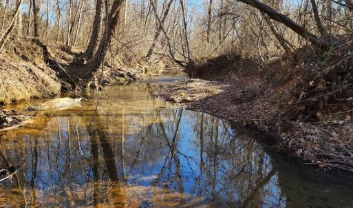 Photo #1 of Cameron Lane, Nathalie, VA 62.4 acres