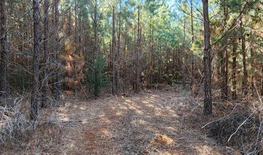 Photo #7 of Cameron Lane, Nathalie, VA 62.4 acres