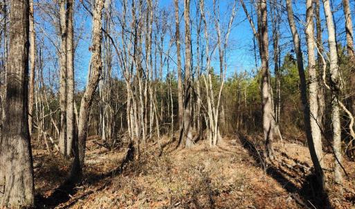 Photo #6 of Cameron Lane, Nathalie, VA 62.4 acres
