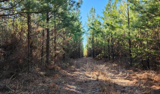 Photo #5 of Cameron Lane, Nathalie, VA 62.4 acres