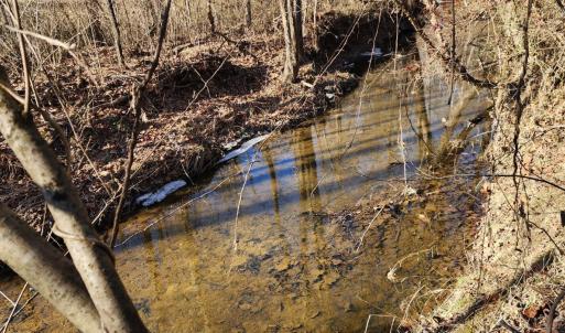 Photo #3 of Cameron Lane, Nathalie, VA 62.4 acres