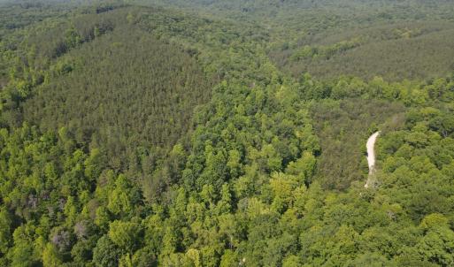 Photo #6 of Earley Farm Road, Madison Heights, VA 58.4 acres