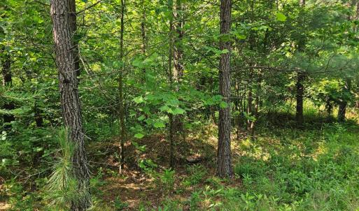 Photo #8 of Earley Farm Road, Madison Heights, VA 66.1 acres