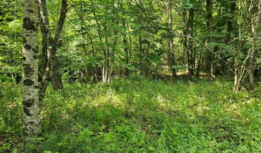 Photo #9 of Earley Farm Road, Madison Heights, VA 66.1 acres