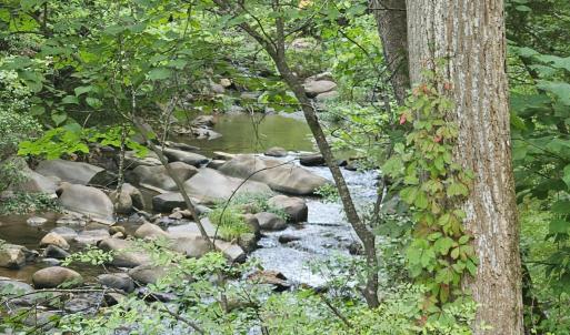 Photo #2 of Earley Farm Road, Madison Heights, VA 66.1 acres