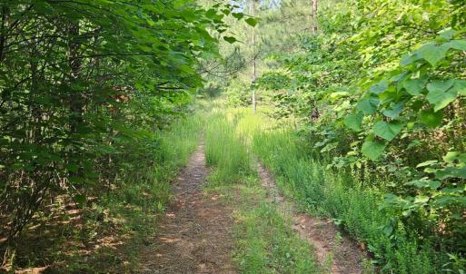 Photo #7 of Earley Farm Road, Madison Heights, VA 66.1 acres