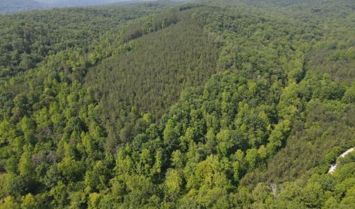 Photo #10 of Earley Farm Road, Madison Heights, VA 66.1 acres
