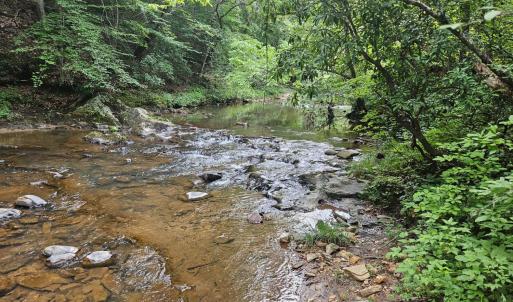 Photo #3 of Earley Farm Road, Madison Heights, VA 66.1 acres