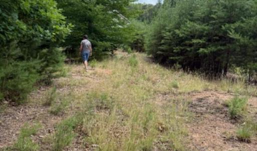 Photo #4 of 37 Waterview Court, Gretna, VA 0.9 acres