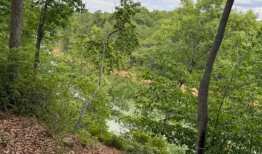 Photo #5 of 37 Waterview Court, Gretna, VA 0.9 acres