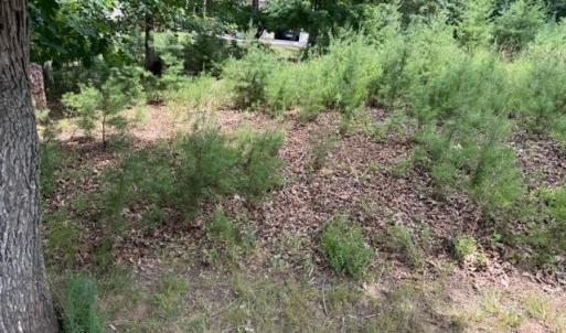 Photo #2 of 37 Waterview Court, Gretna, VA 0.9 acres