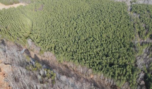 Photo #1 of TN Snow Road, Nathalie, VA 22.7 acres
