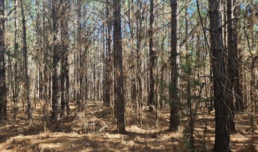 Photo #3 of TN Snow Road, Nathalie, VA 22.8 acres
