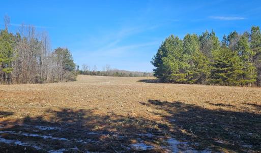 Photo #5 of TN Snow Road, Nathalie, VA 22.8 acres
