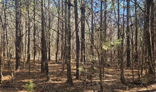 Photo #6 of TN Snow Road, Nathalie, VA 22.8 acres