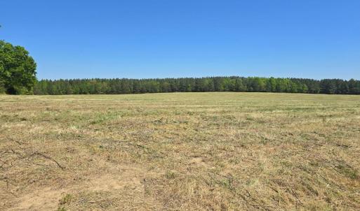 Photo #4 of TN Snow Road, Nathalie, VA 44.1 acres