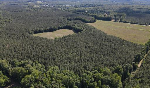 Photo #2 of TN Snow Road, Nathalie, VA 44.1 acres
