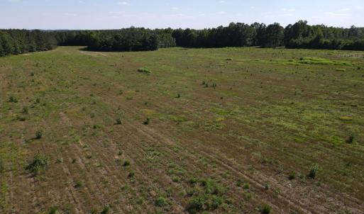 Photo #5 of TN Snow Road, Nathalie, VA 44.1 acres