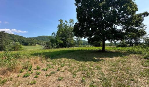 Photo #38 of 2225 Irving Road, Thaxton, VA 3.9 acres