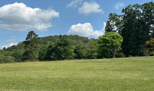 Photo #44 of 2225 Irving Road, Thaxton, VA 3.9 acres