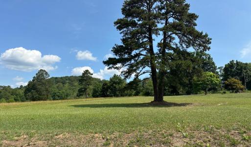 Photo #42 of 2225 Irving Road, Thaxton, VA 3.9 acres