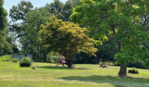 Photo #41 of 2225 Irving Road, Thaxton, VA 3.9 acres