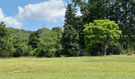 Photo #46 of 2225 Irving Road, Thaxton, VA 3.9 acres