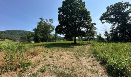 Photo #37 of 2225 Irving Road, Thaxton, VA 3.9 acres