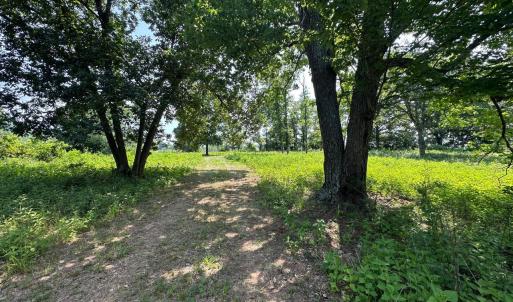 Photo #35 of 2225 Irving Road, Thaxton, VA 3.9 acres