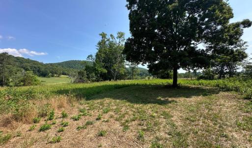 Photo #38 of 2225 Irving Road, Thaxton, VA 3.9 acres