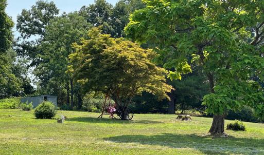 Photo #41 of 2225 Irving Road, Thaxton, VA 3.9 acres