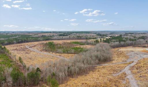 Photo #14 of Throckmorton Trail, Scottsburg, VA 89.4 acres