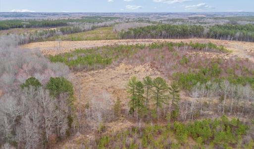 Photo #23 of Throckmorton Trail, Scottsburg, VA 89.4 acres