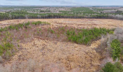 Photo #27 of Throckmorton Trail, Scottsburg, VA 89.4 acres
