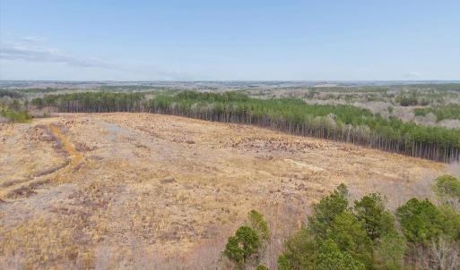 Photo #17 of Throckmorton Trail, Scottsburg, VA 89.4 acres