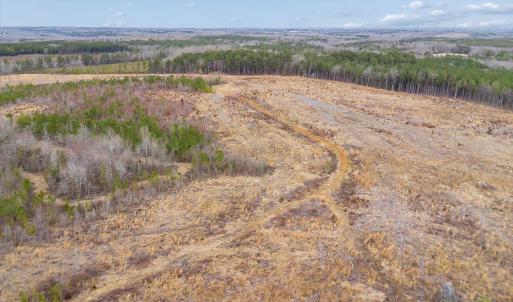 Photo #24 of Throckmorton Trail, Scottsburg, VA 89.4 acres