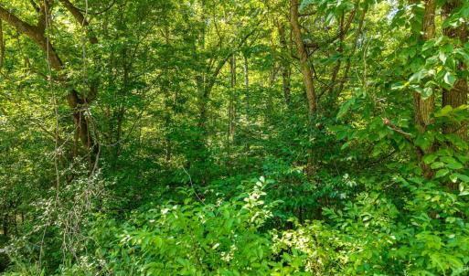 Photo #29 of Mt Athos Road, Lynchburg, VA 12.5 acres
