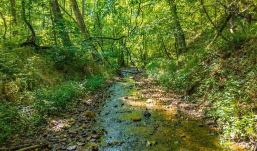 Photo #41 of Mt Athos Road, Lynchburg, VA 12.5 acres