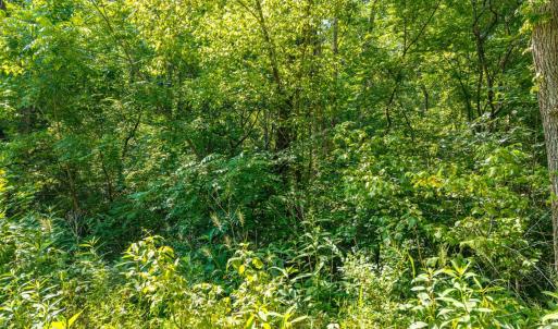 Photo #30 of Mt Athos Road, Lynchburg, VA 12.5 acres