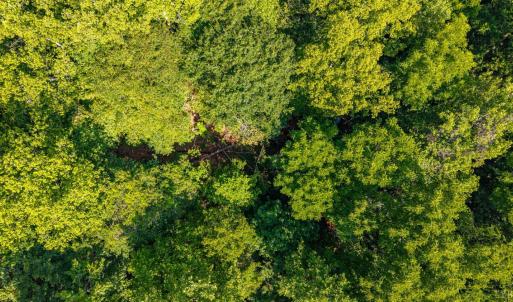 Photo #5 of Mt Athos Road, Lynchburg, VA 12.5 acres
