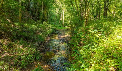 Photo #36 of Mt Athos Road, Lynchburg, VA 12.5 acres