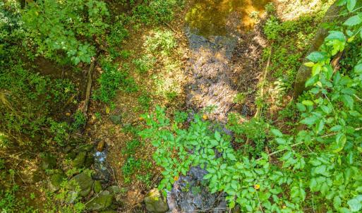 Photo #33 of Mt Athos Road, Lynchburg, VA 12.5 acres