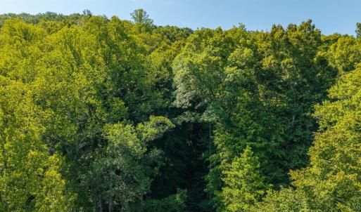Photo #24 of Mt Athos Road, Lynchburg, VA 12.5 acres