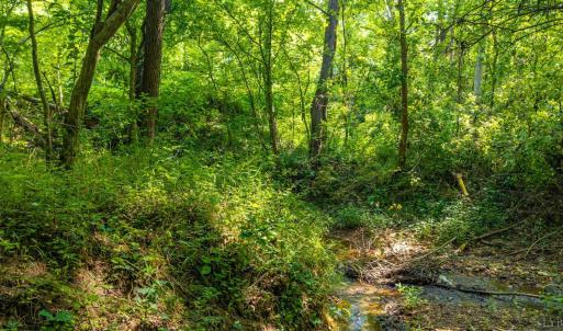 Photo #38 of Mt Athos Road, Lynchburg, VA 12.5 acres