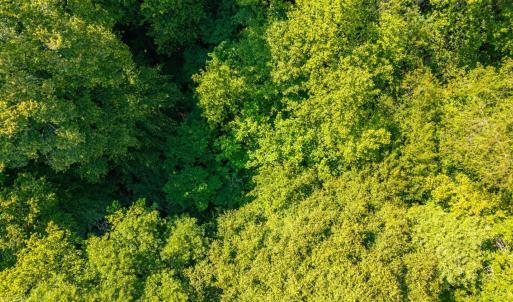 Photo #25 of Mt Athos Road, Lynchburg, VA 12.5 acres