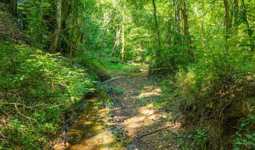 Photo #37 of Mt Athos Road, Lynchburg, VA 12.5 acres