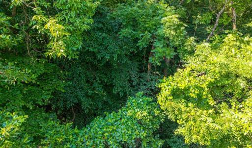 Photo #27 of Mt Athos Road, Lynchburg, VA 12.5 acres