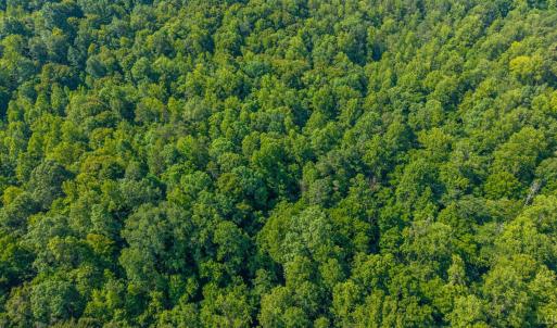 Photo #2 of Mt Athos Road, Lynchburg, VA 12.5 acres